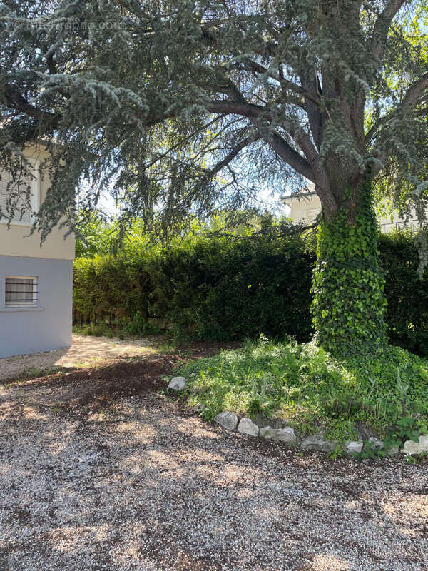 Maison à SAINT-JEAN-DE-BRAYE