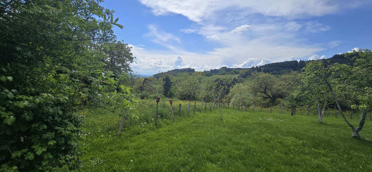 Maison à SAINTE-AGATHE