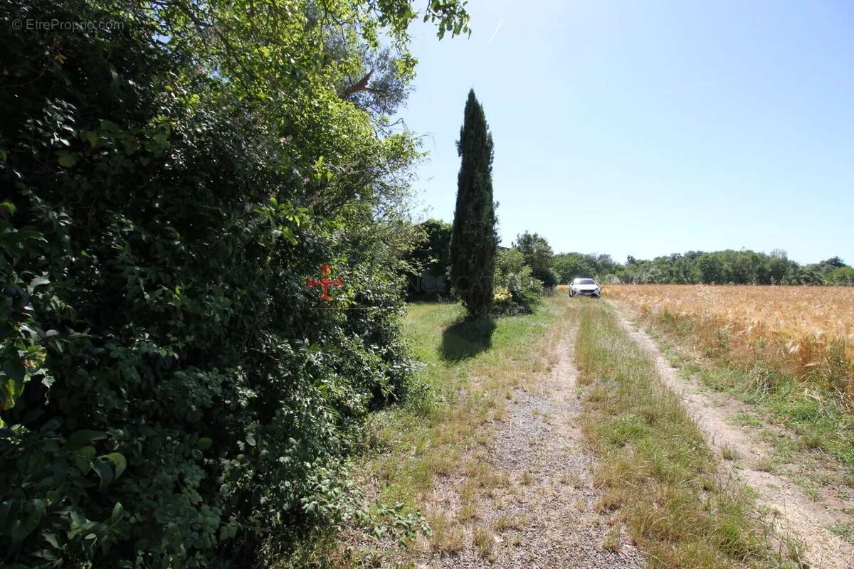 Corps de ferme à montans - photo 3
