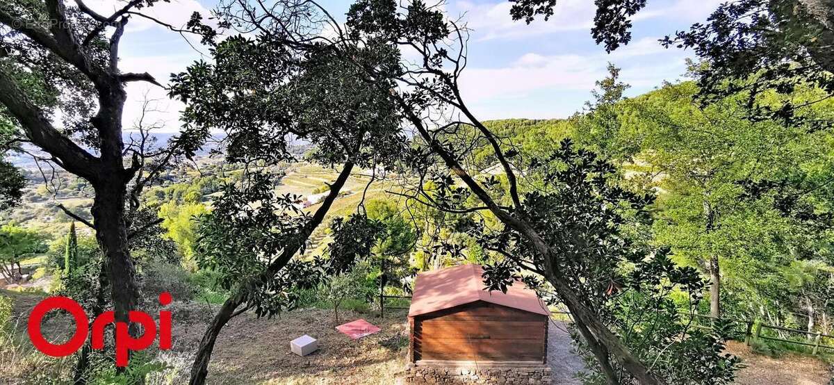 Terrain à LE BEAUSSET