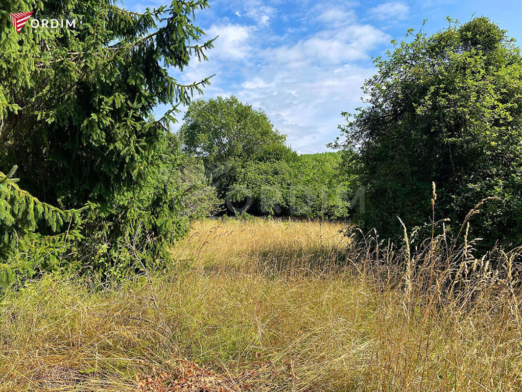Maison sur sous-sol avec grand terrain à Bléneau - photo 16