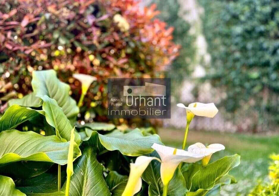 Appartement à VANNES