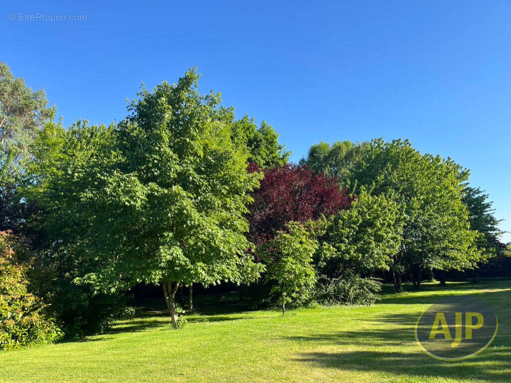 Maison à CHANTONNAY