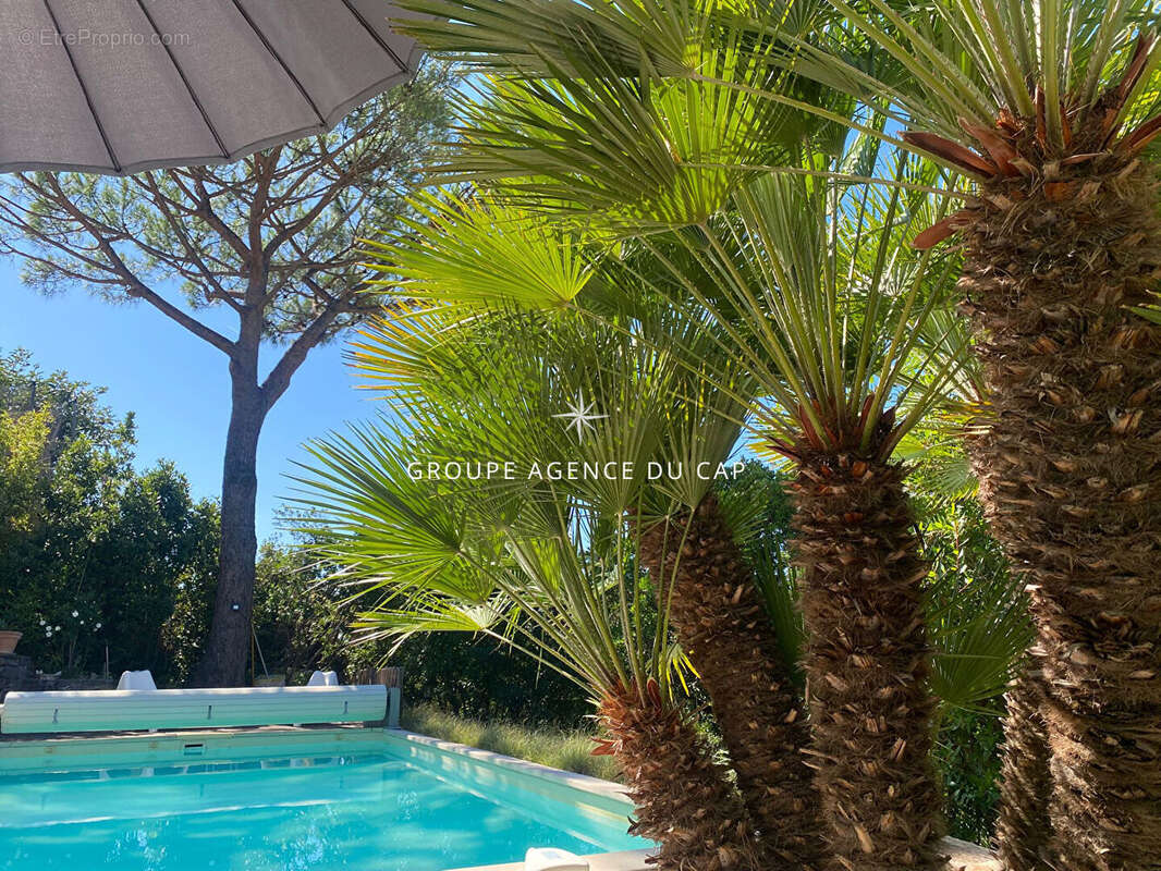 Maison à LES ISSAMBRES