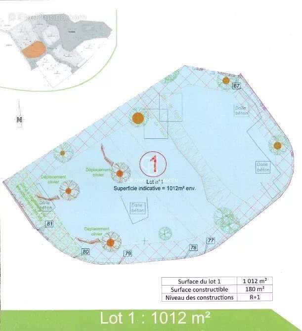 Terrain à SAN-MARTINO-DI-LOTA