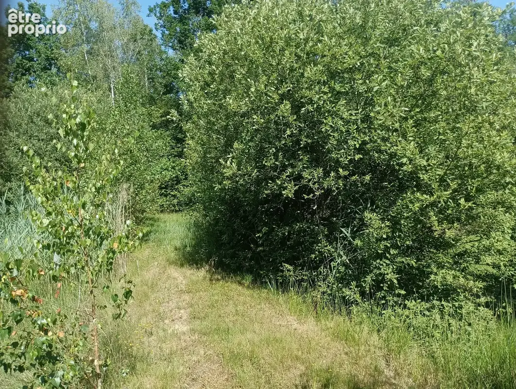 Vente étang de 11 ha environ sur terrain de 14 ha environ AILLONCOURT (70) - photo 9