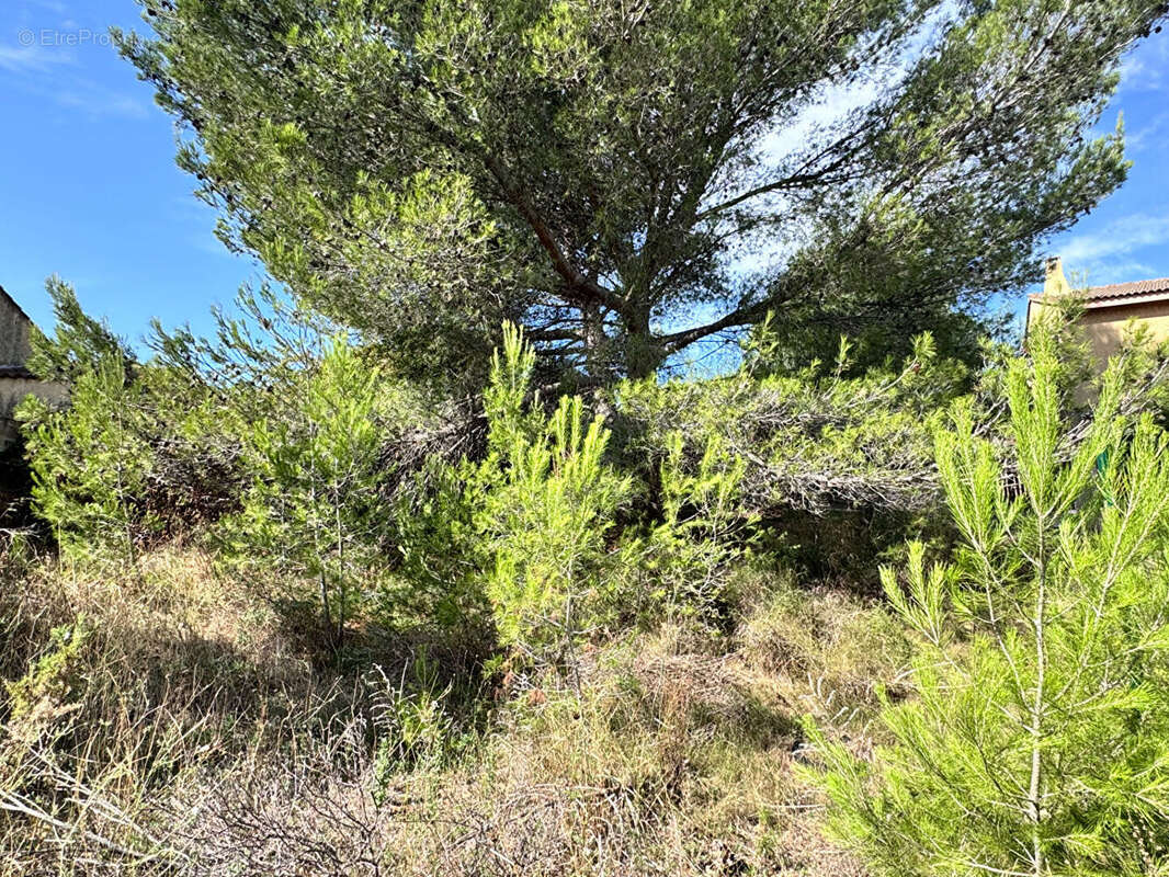 Terrain Martigues 514 m² - photo 2