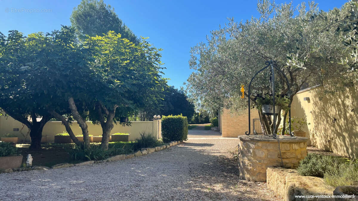Maison proche VACQUEYRAS - 180 m2  avec appart T2 + 2 grands garages ! - photo 14