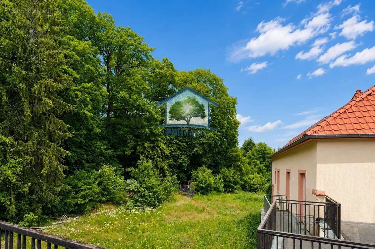 Ottersthal (67) - batiment usage commercial 21 pièces 787m²  sur 50,95 ares - photo 6