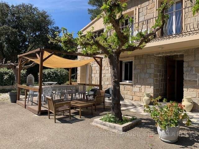 Maison à BELVEDERE-CAMPOMORO