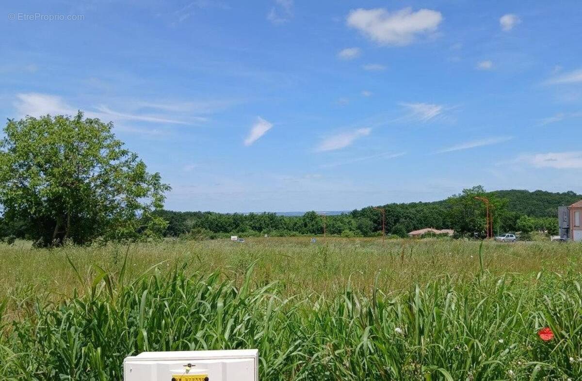 Photo 1 - Terrain à BOULOC