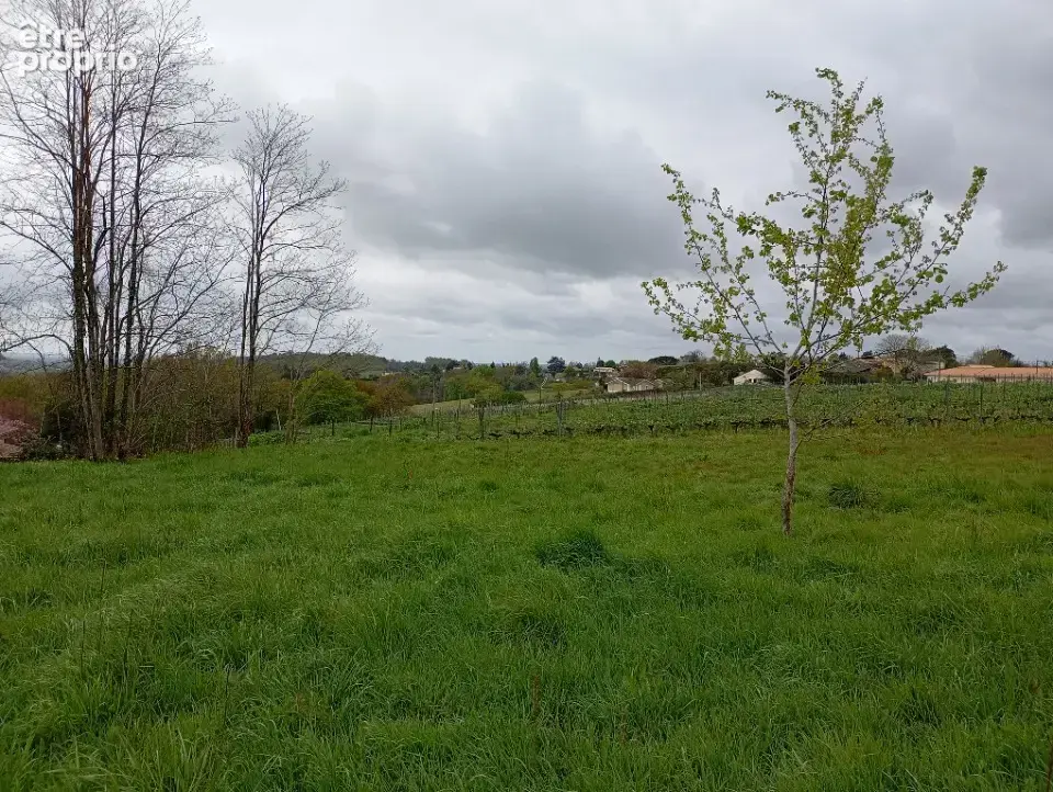 Terrain 5 400 m² à vendre à Langoiran (33550) - photo 2