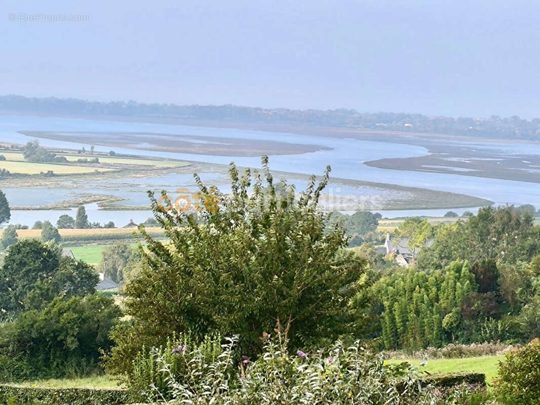 Ensemble immobilier de 3 maisons et possibilité de 2 de plus - Heugueville-sur-Sienne - photo 3