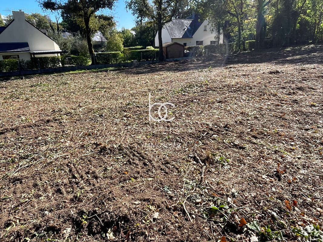 Terrain à SARZEAU