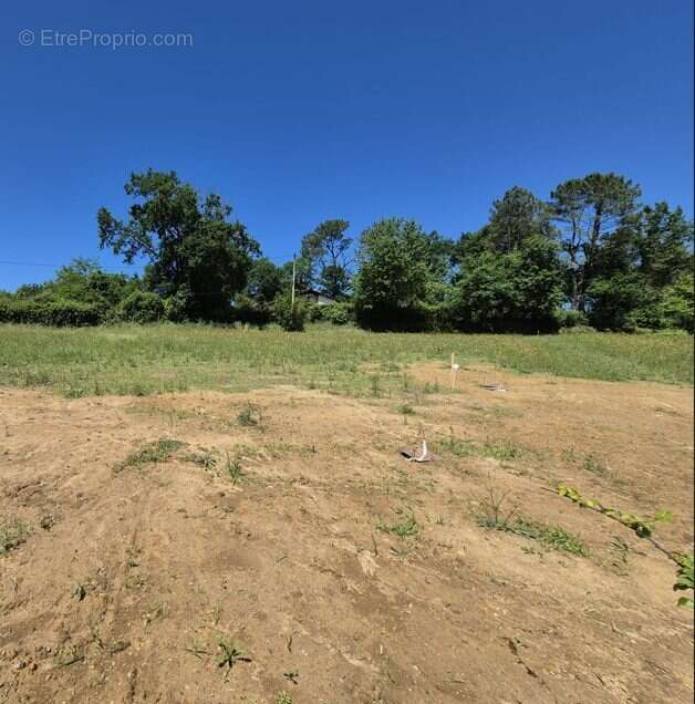 Terrain à POUILLON