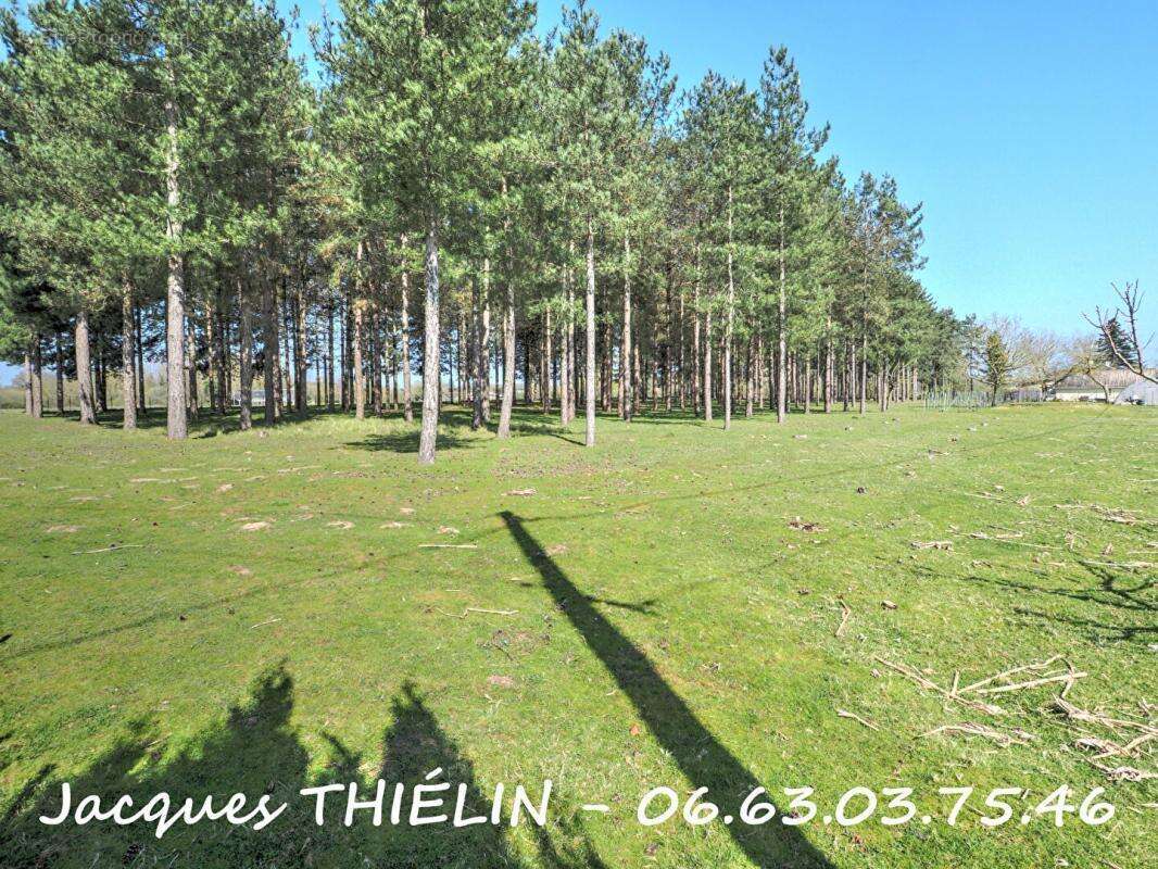 Maison à BEAUFORT-EN-VALLEE