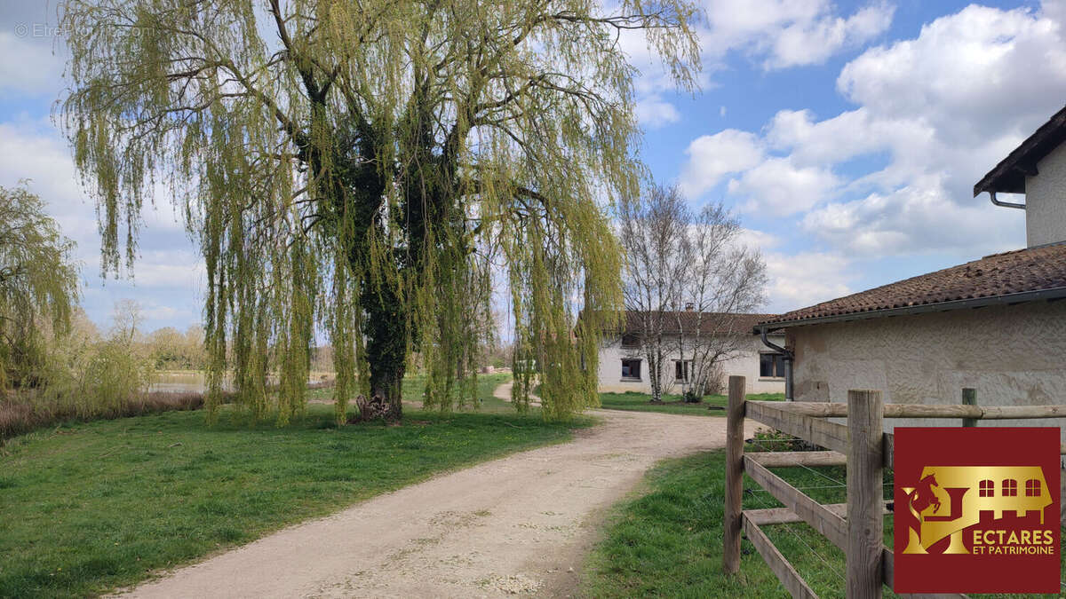 Maison à NEUVILLE-LES-DAMES