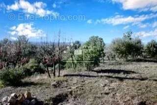 Terrain à BAUDINARD-SUR-VERDON
