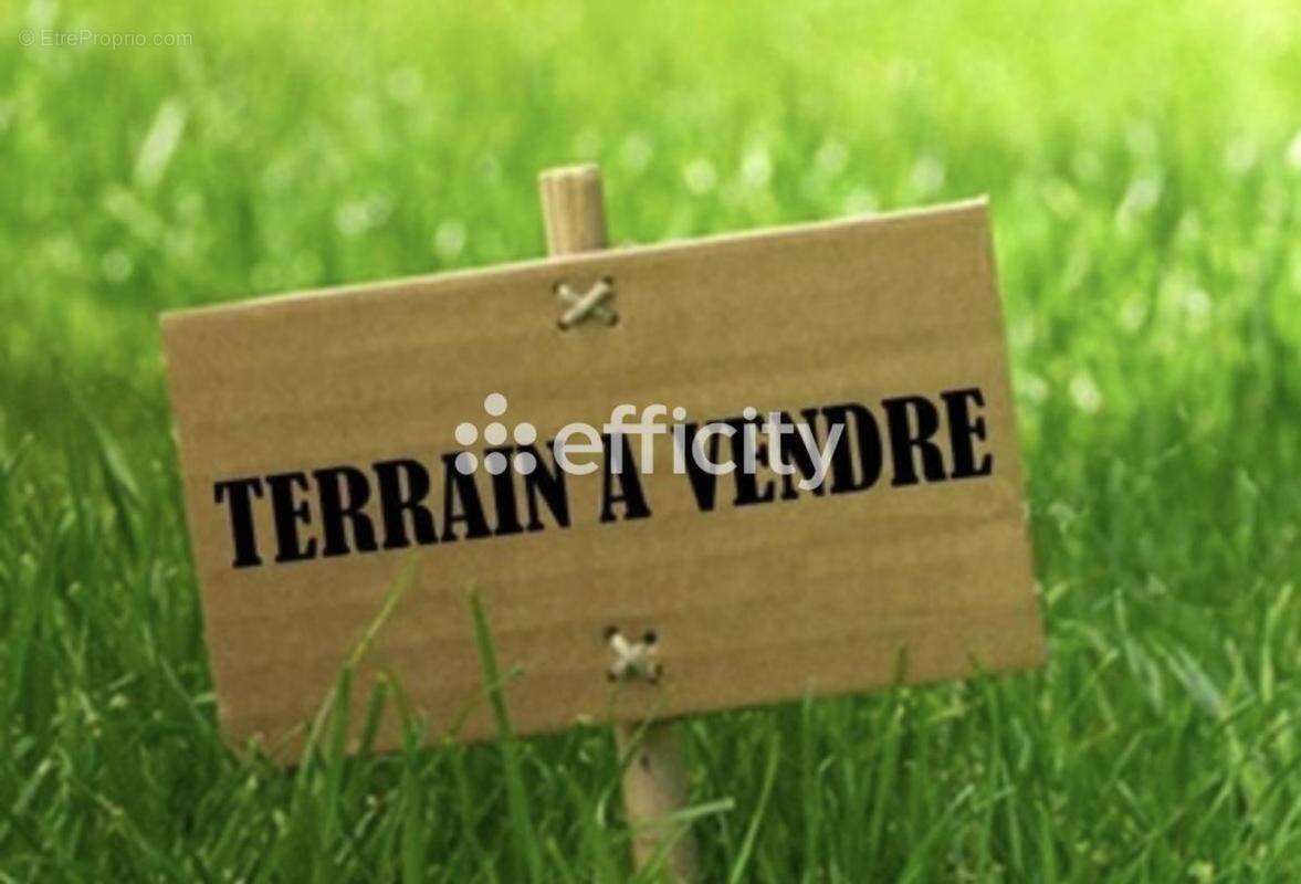 Terrain à TALMONT-SAINT-HILAIRE