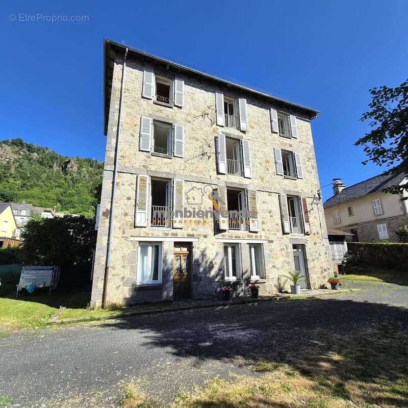 Maison 279 m² à Vic-Sur-Cere  - photo 2