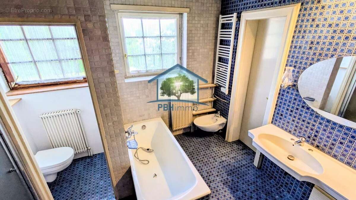 INGWILLER (67) - Maison 334m² avec Cave, Cour et Jardin sur 95 ares - photo 12