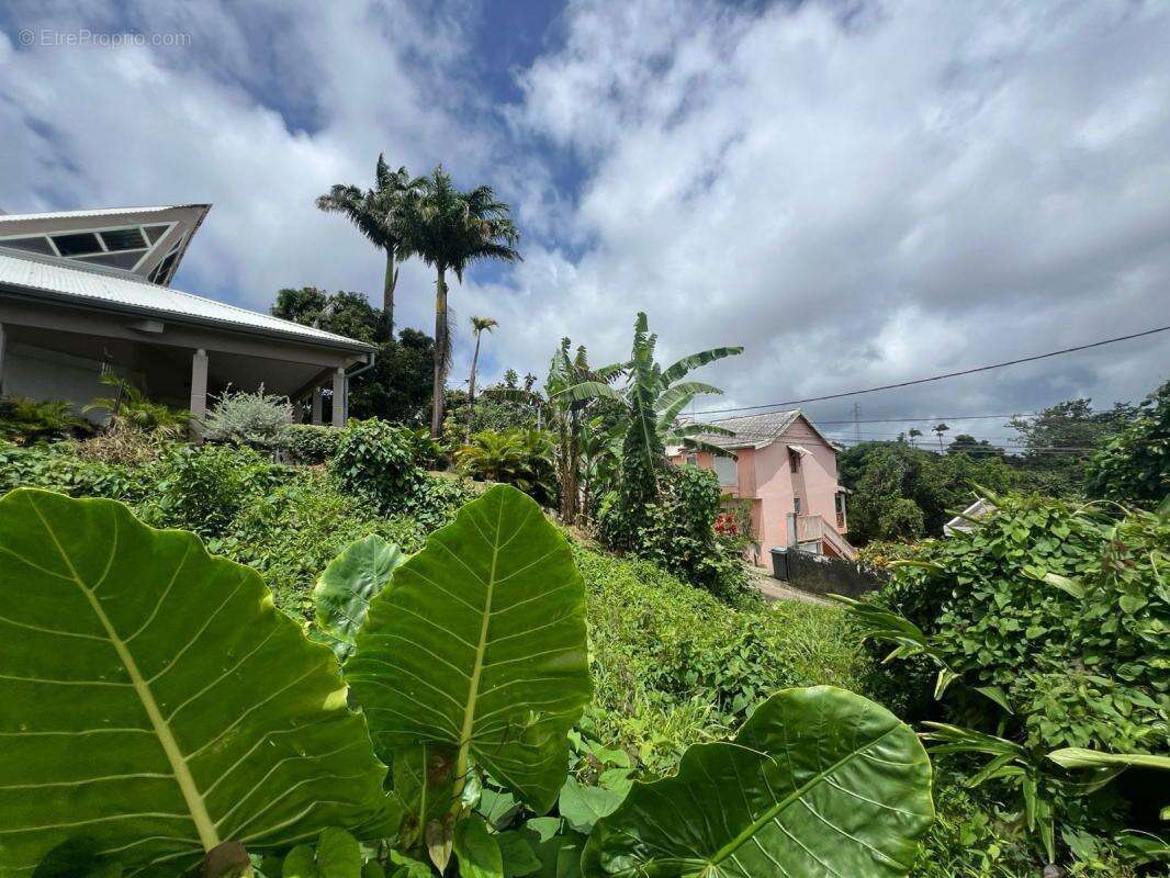 Terrain à FORT-DE-FRANCE