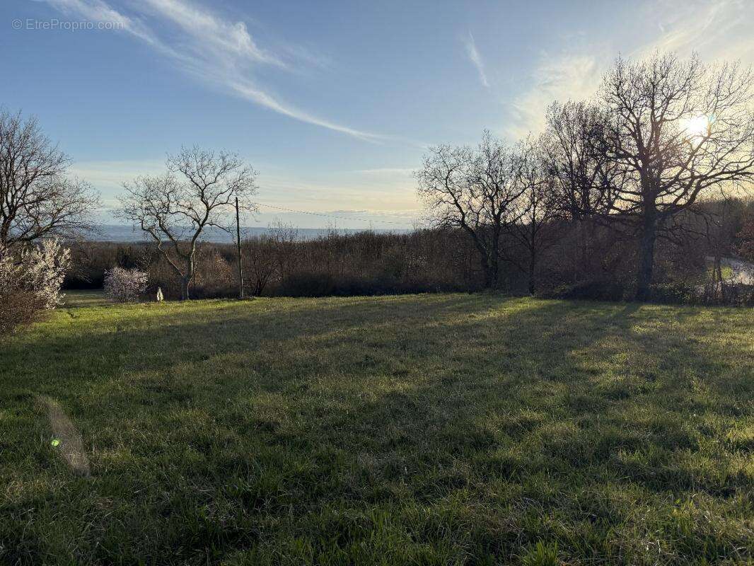 Terrain à LABECEDE-LAURAGAIS