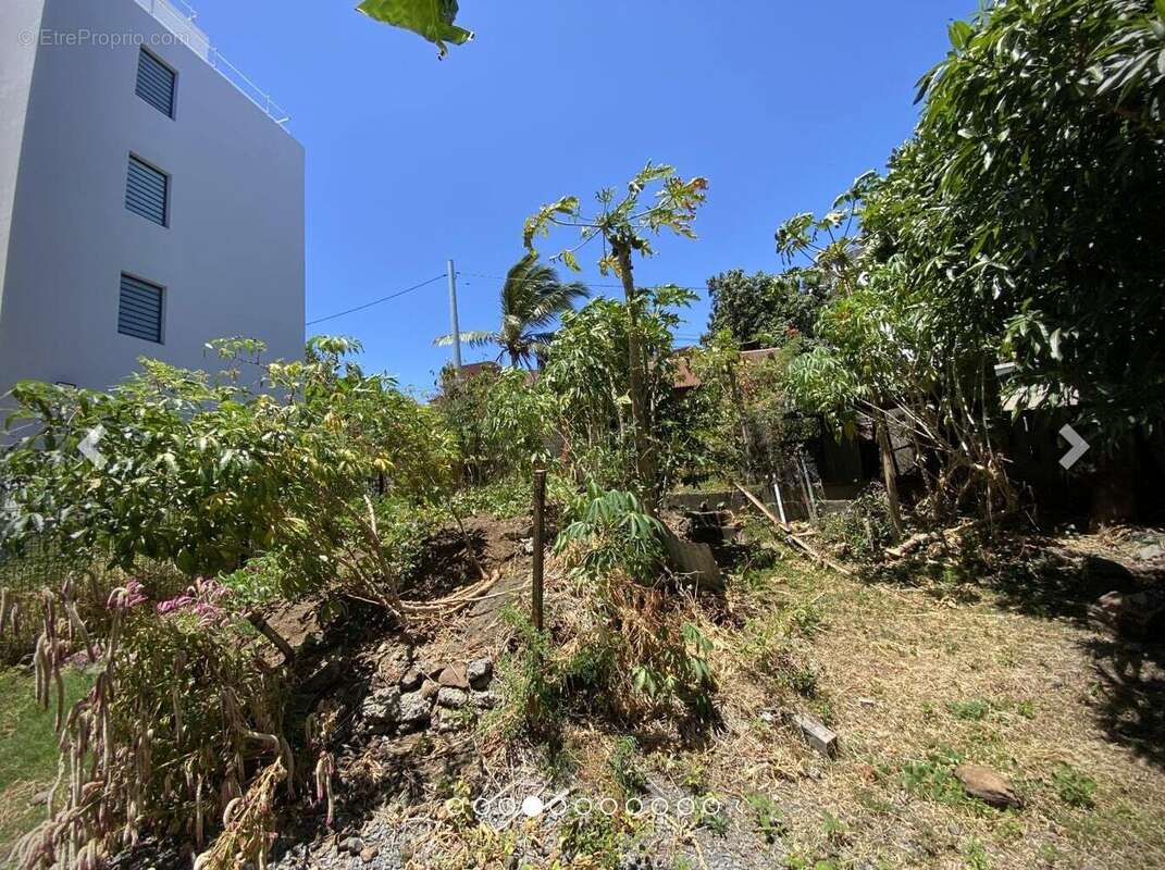 Terrain à SAINT-DENIS