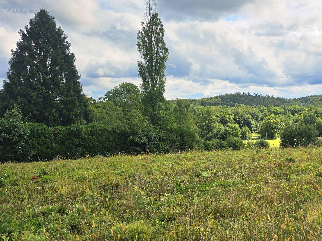 Terrain à CHENEBIER