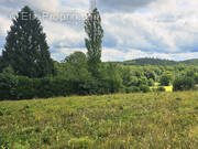 Terrain à CHENEBIER