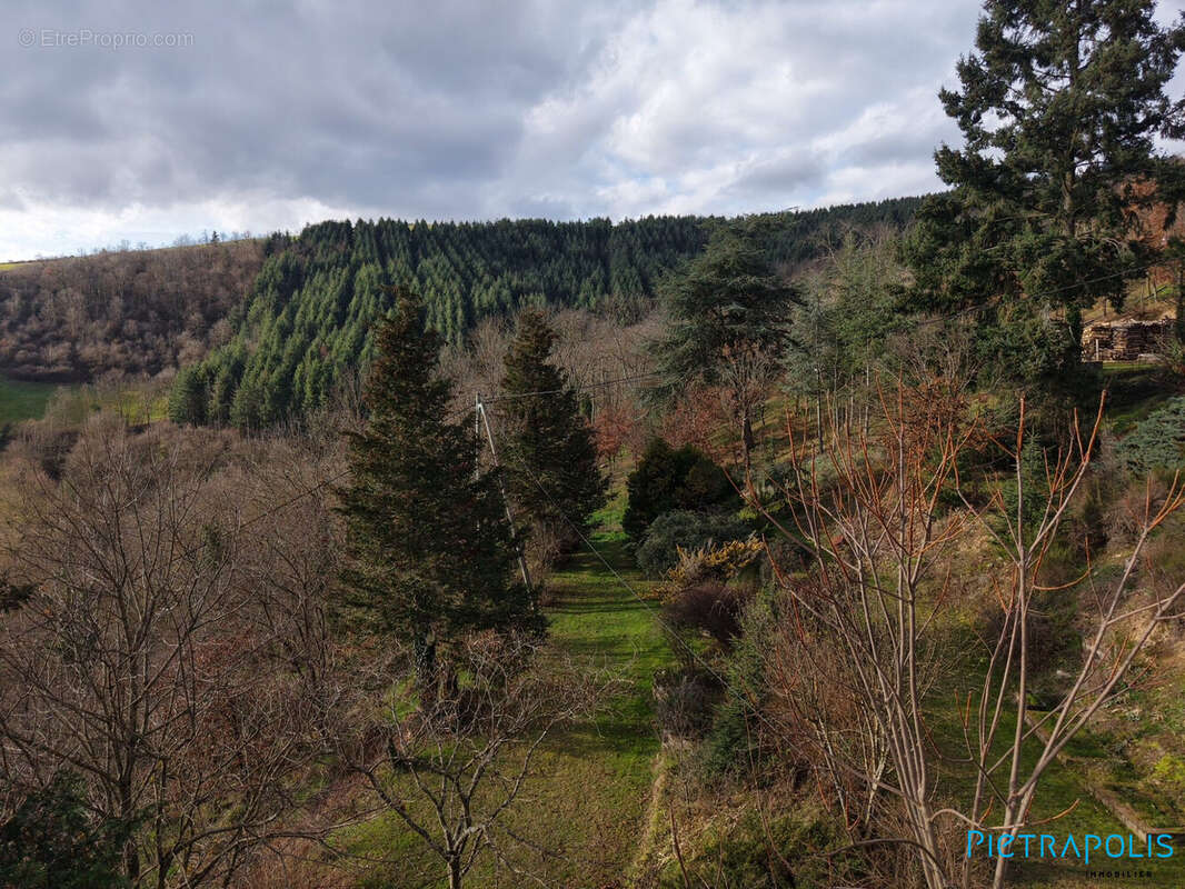 Maison à SAINT-CLEMENT-SUR-VALSONNE