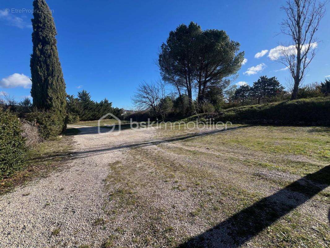 Commerce à TOURRETTES