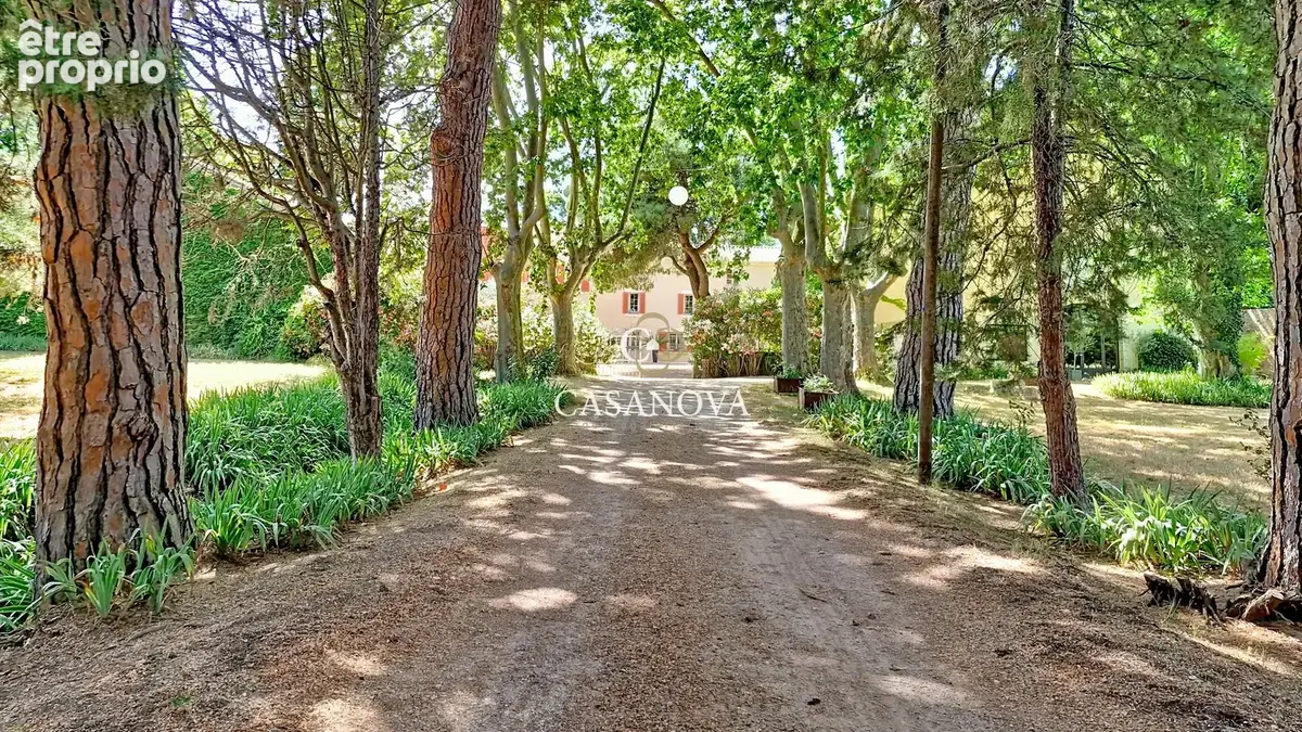 Propriété familiale ou activité de réception - parc de 4 hectares - 15 minutes de Narbonne - 25 minutes  de Béziers - photo 3