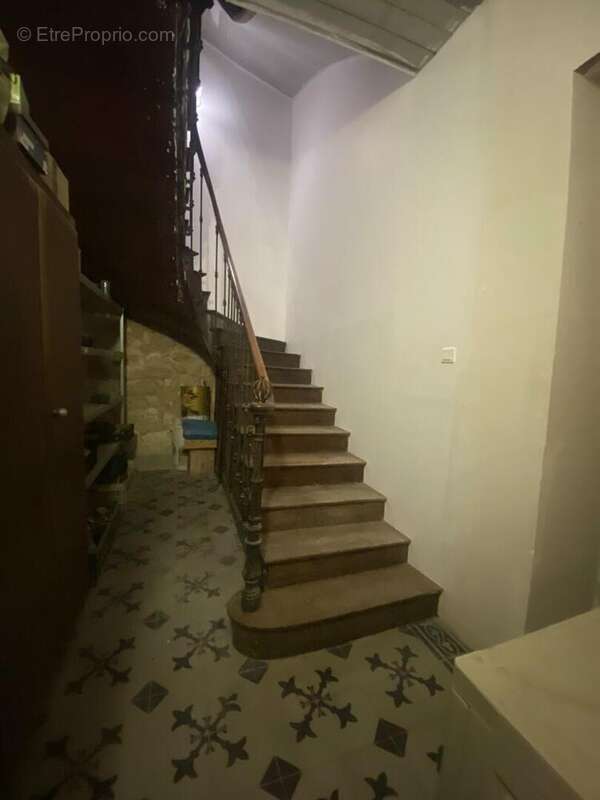 IMG8339 - Maison à SAINT-CYPRIEN