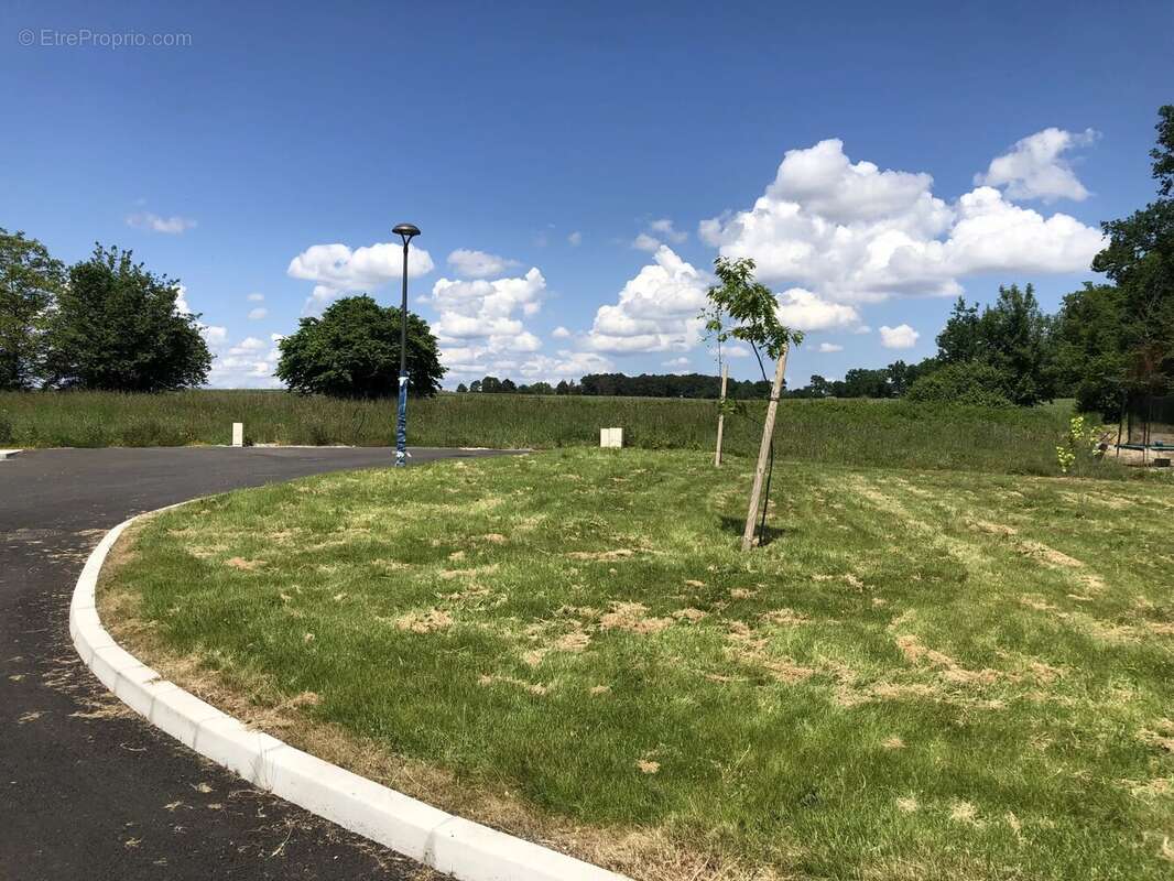 Terrain à MARTILLAC