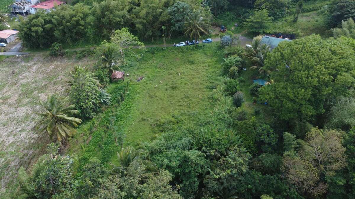 Terrain à LE MORNE-ROUGE