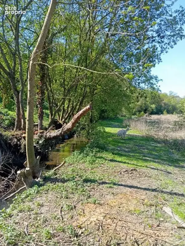 Terrain constructible 607m² et plus possible -  Sortie de bourg, Jugon-les-Lacs à 5mns à pieds. - photo 5