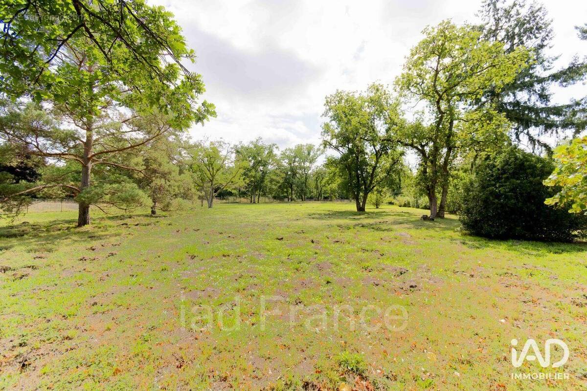 Photo 1 - Terrain à MOISSON