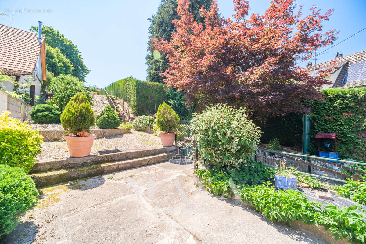 Maison à SEPPOIS-LE-HAUT