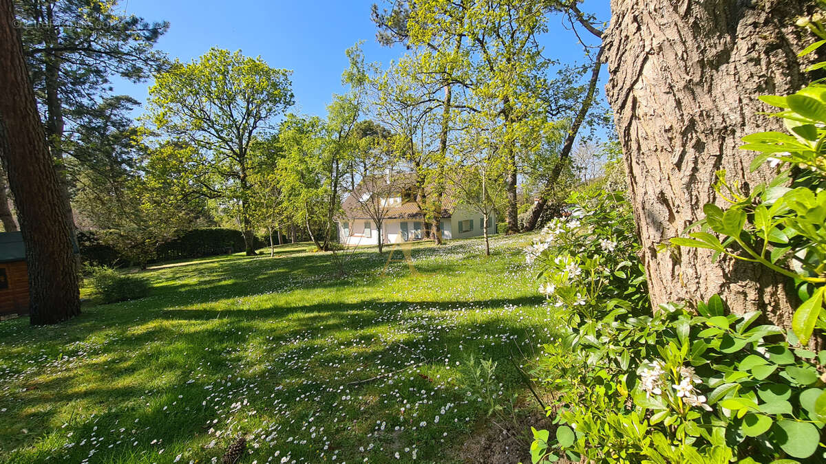Maison à LE TOUQUET-PARIS-PLAGE