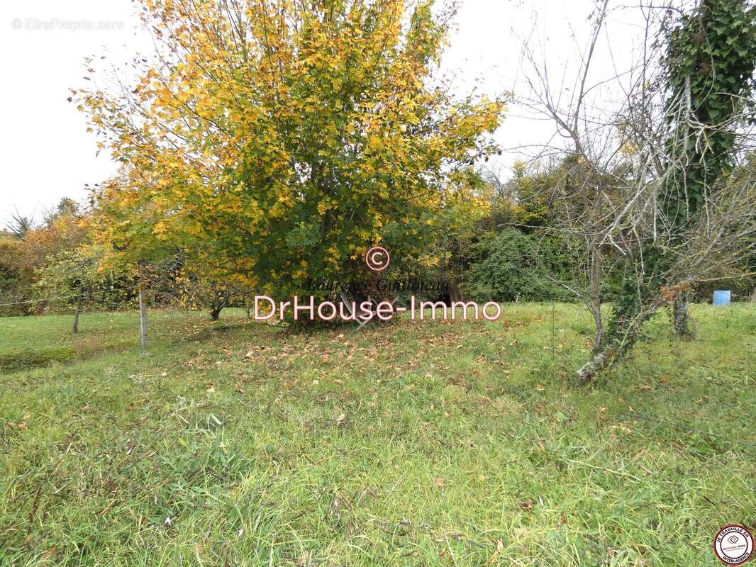 Maison à SAINT-CHRISTOPHE-SUR-LE-NAIS