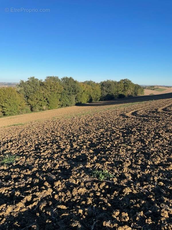 Terrain à MONTBRUN-LAURAGAIS