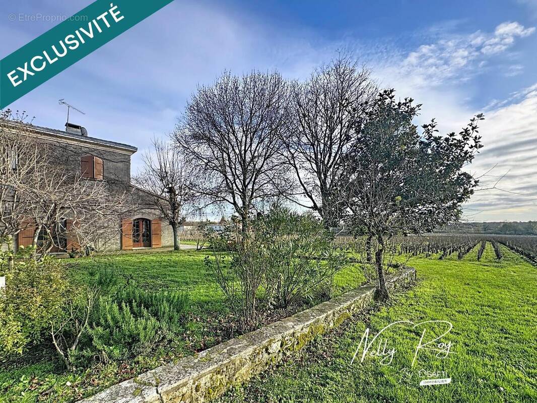 Photo 1 - Maison à SAINT-LAURENT-MEDOC