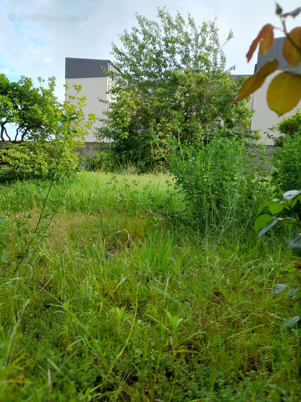 Appartement à VIERZON