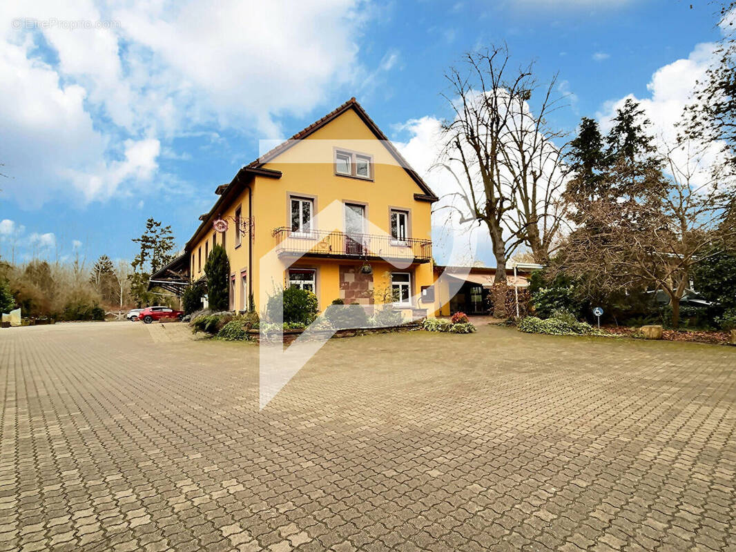 Commerce à LA WANTZENAU