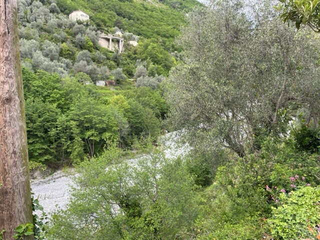 Maison à BREIL-SUR-ROYA