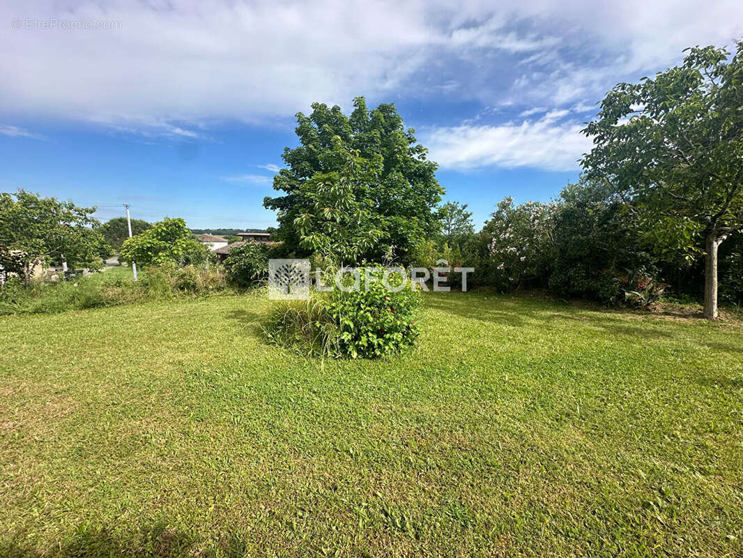 Maison à LE PIAN-SUR-GARONNE