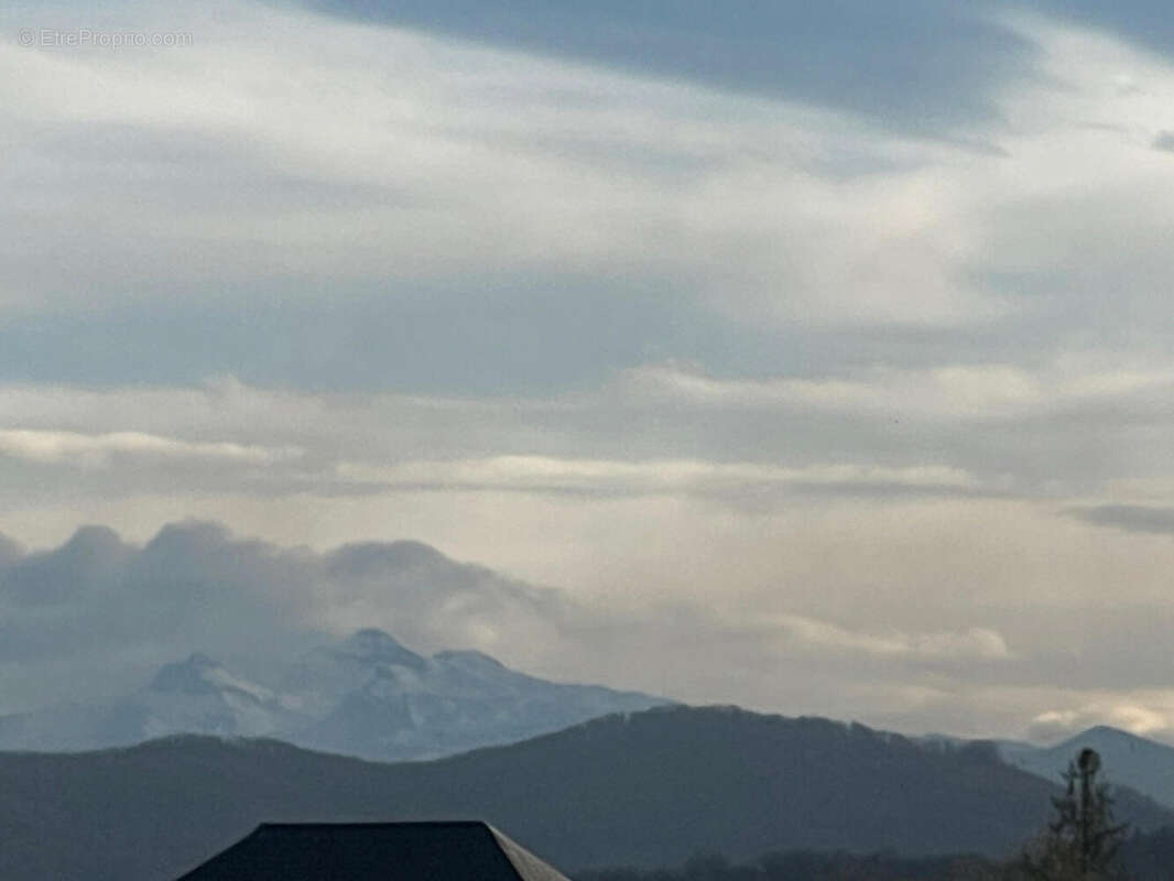 IMG_8401 - Maison à OLORON-SAINTE-MARIE