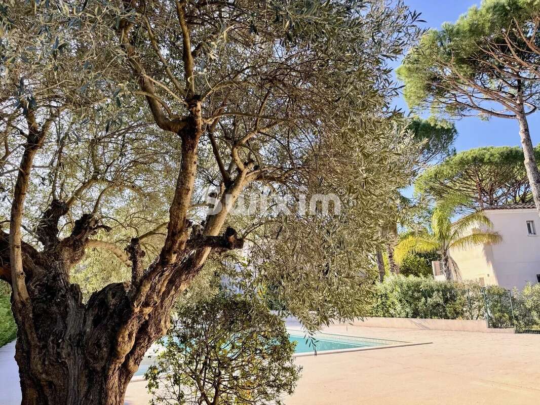 Maison entièrement rénovée à neuf dans un domaine très recherché avec piscine - photo 8