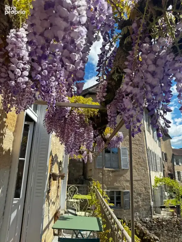 Hôtel particulier - photo 17